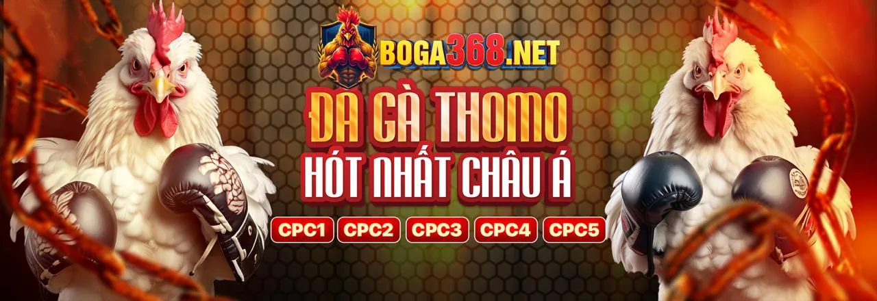 Lịch sử Giao dịch