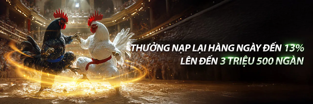 Đá Gà VN89 - Sân chơi cá cược đá gà trực tuyến đỉnh cao